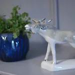 Center 2 * Leopoli